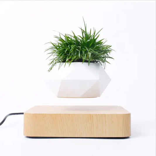 Levitating Plant Pot - Light Wood