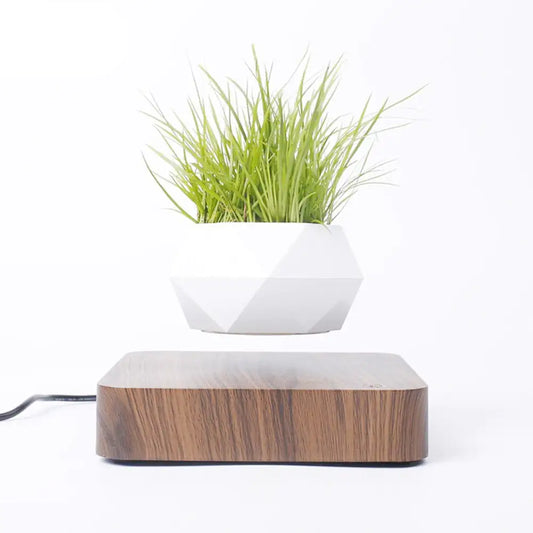 Levitating Plant Pot - Walnut